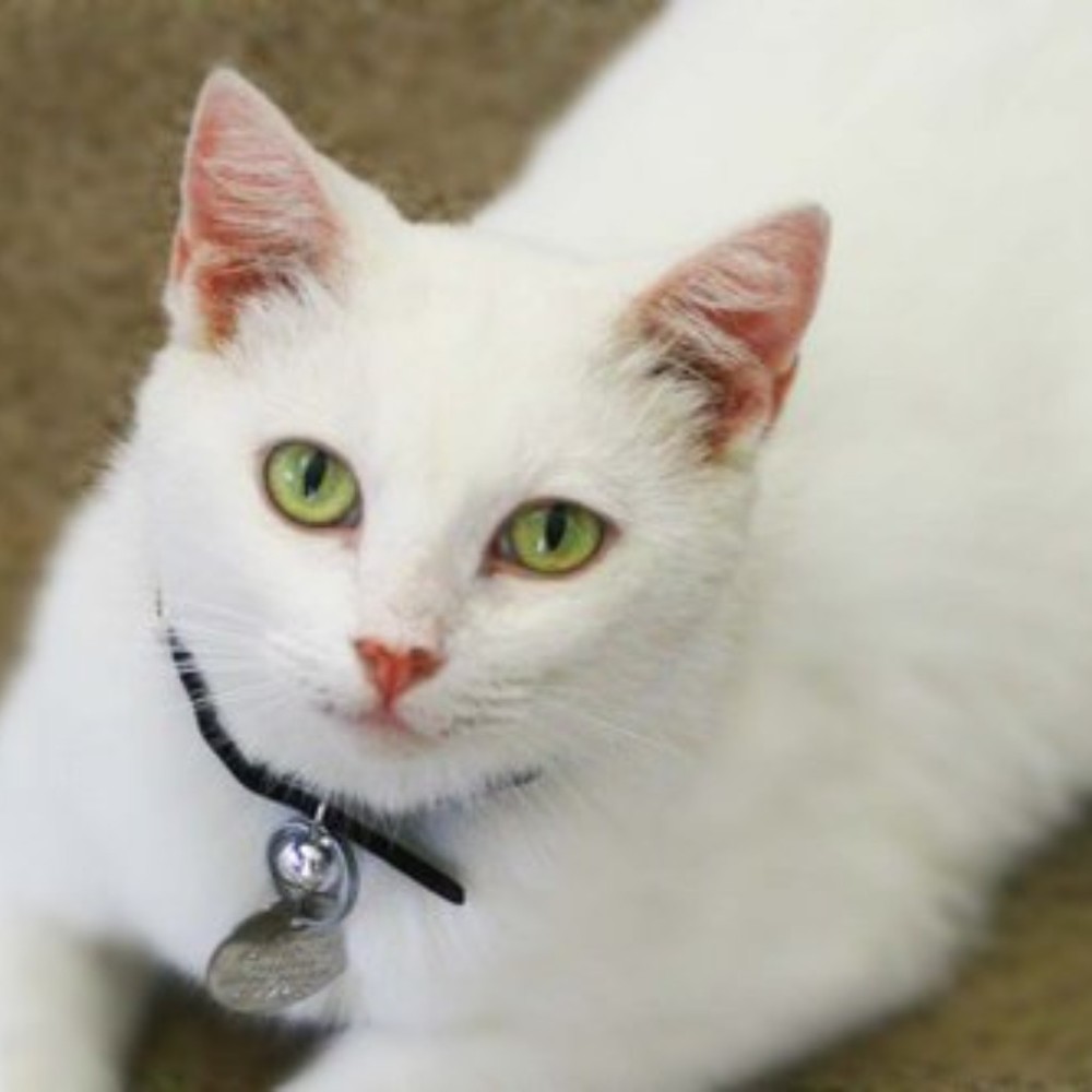 Meet your Posher, Maria